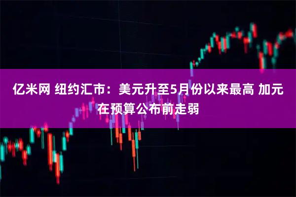 亿米网 纽约汇市：美元升至5月份以来最高 加元在预算公布前走弱
