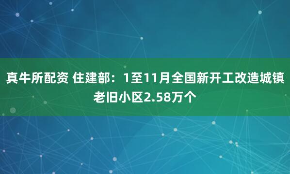 真牛所配资 住建部：1至11月全国新开工改造城镇老旧小区2.58万个