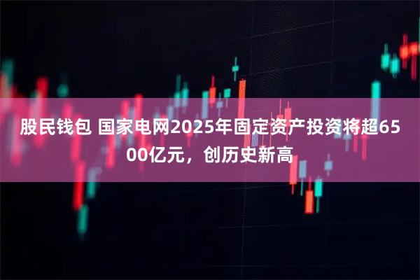 股民钱包 国家电网2025年固定资产投资将超6500亿元，创历史新高