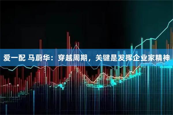 爱一配 马蔚华：穿越周期，关键是发挥企业家精神